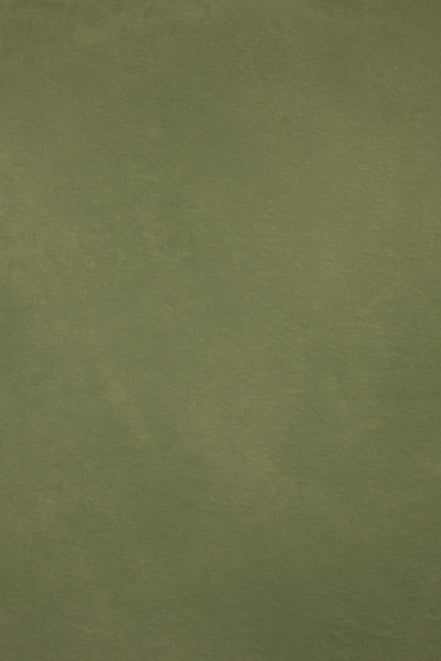 OLIVE HAZE